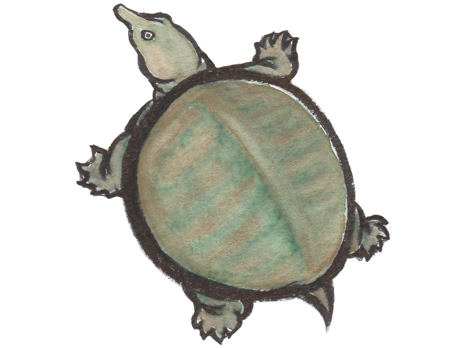 �|�d�����ۂ񗿗�